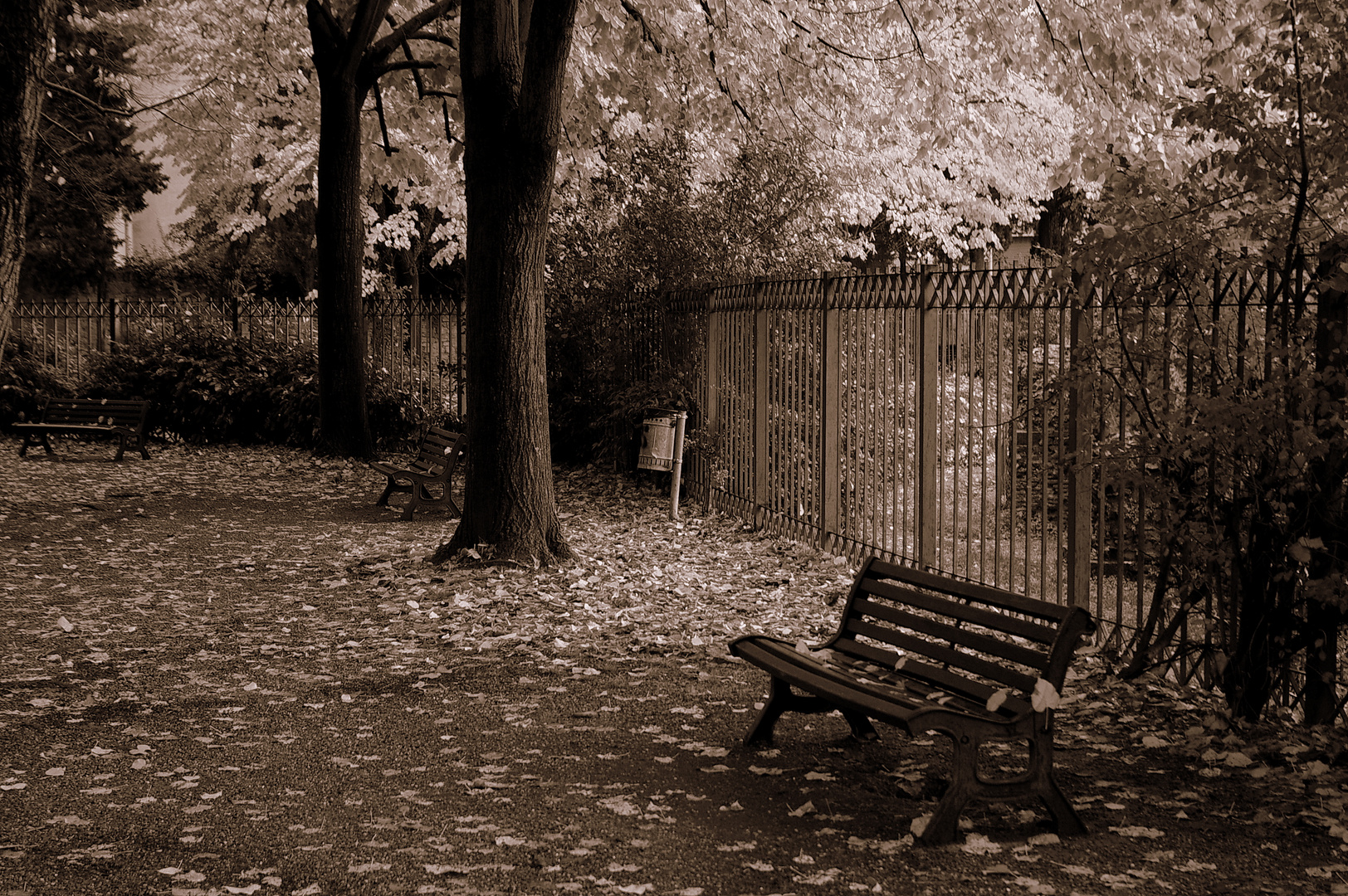 Otoño, banco solitario.