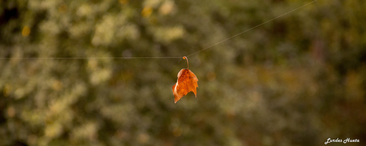 Otoño