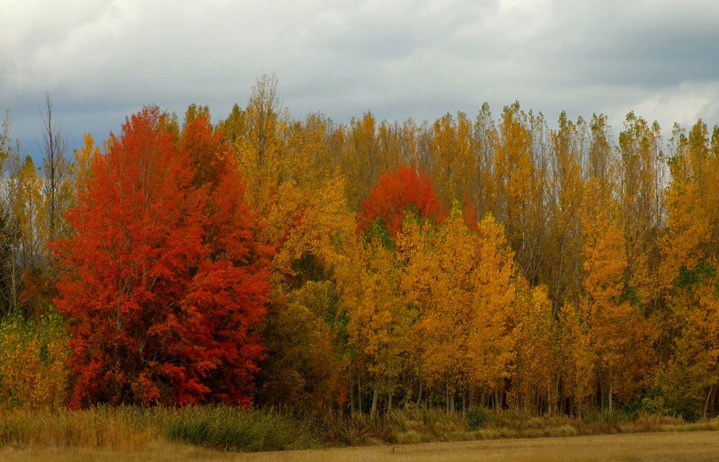 Otoño