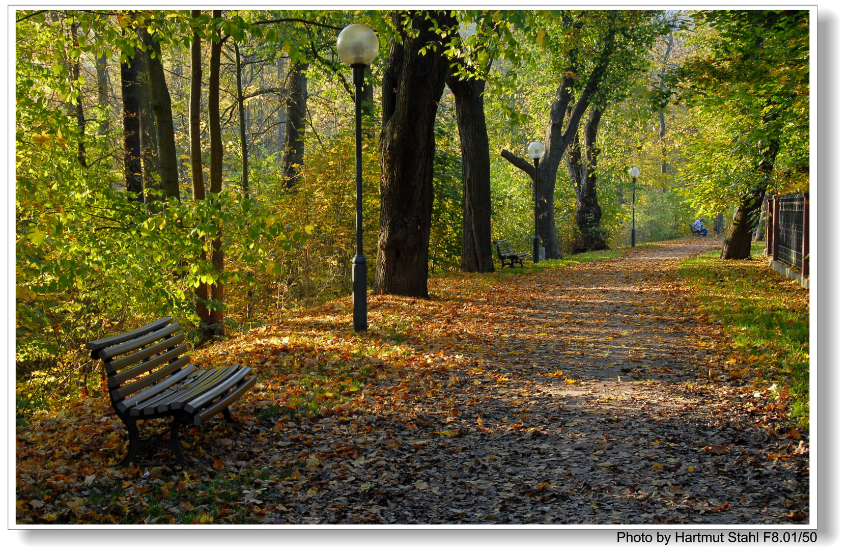 Otoño, camino en el parque (Herbst, Weg im Park)