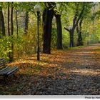 Otoño, camino en el parque (Herbst, Weg im Park)