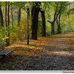 Otoño, camino en el parque (Herbst, Weg im Park)