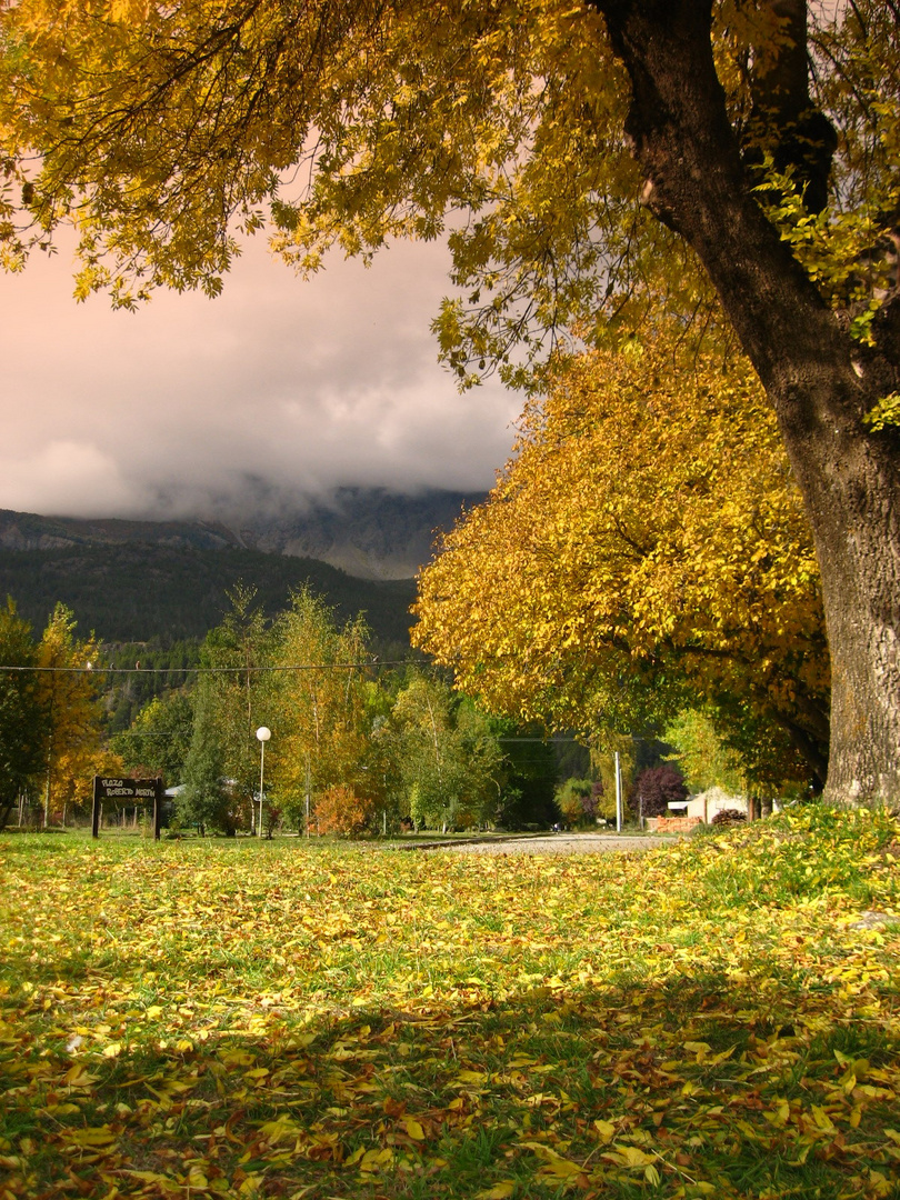 otoño colorido