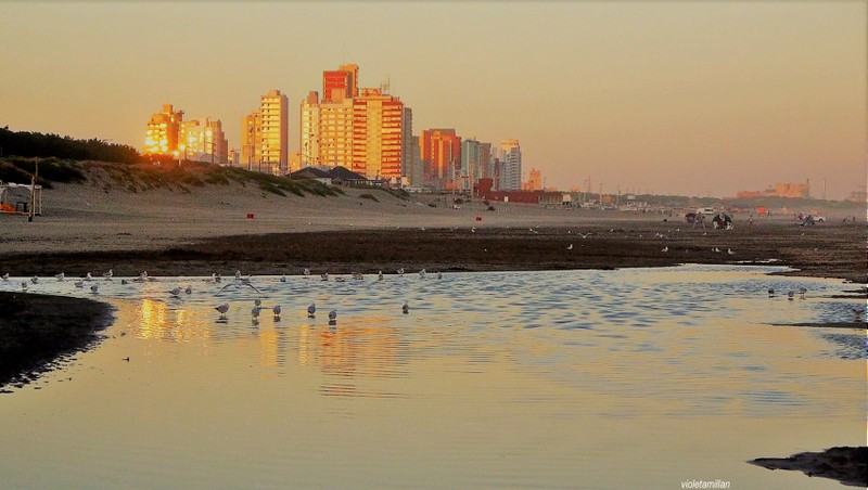 OTOÑO CON SABOR A INVIERNO