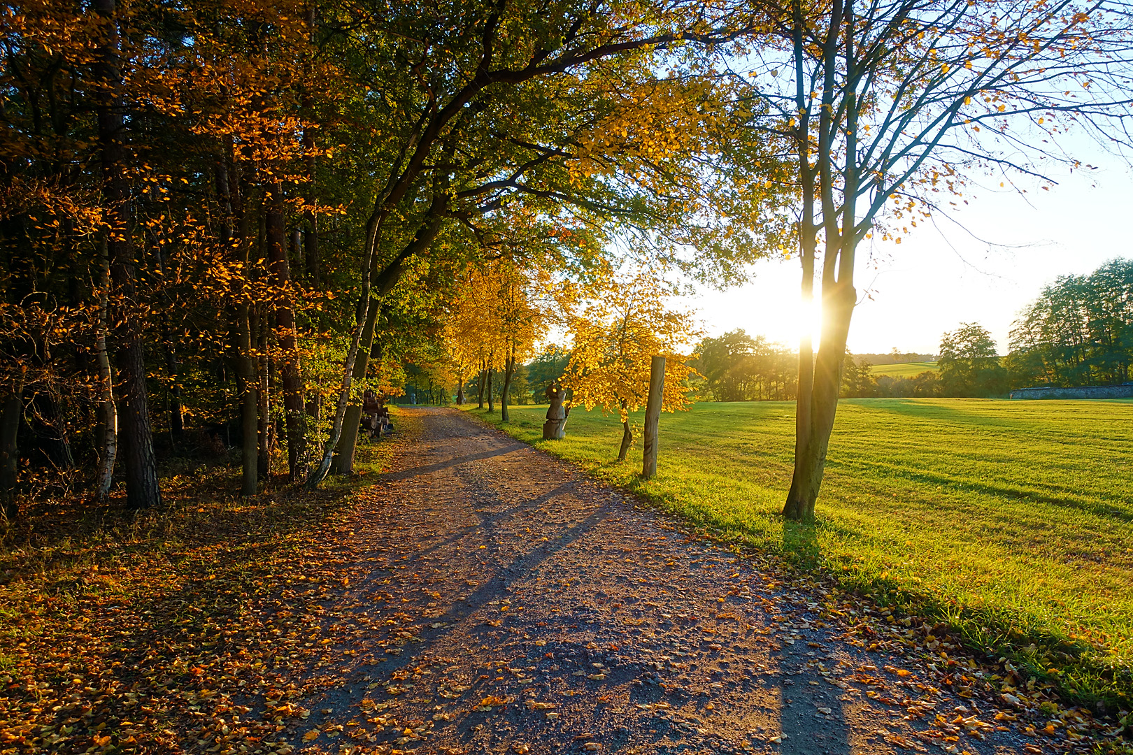 otoño