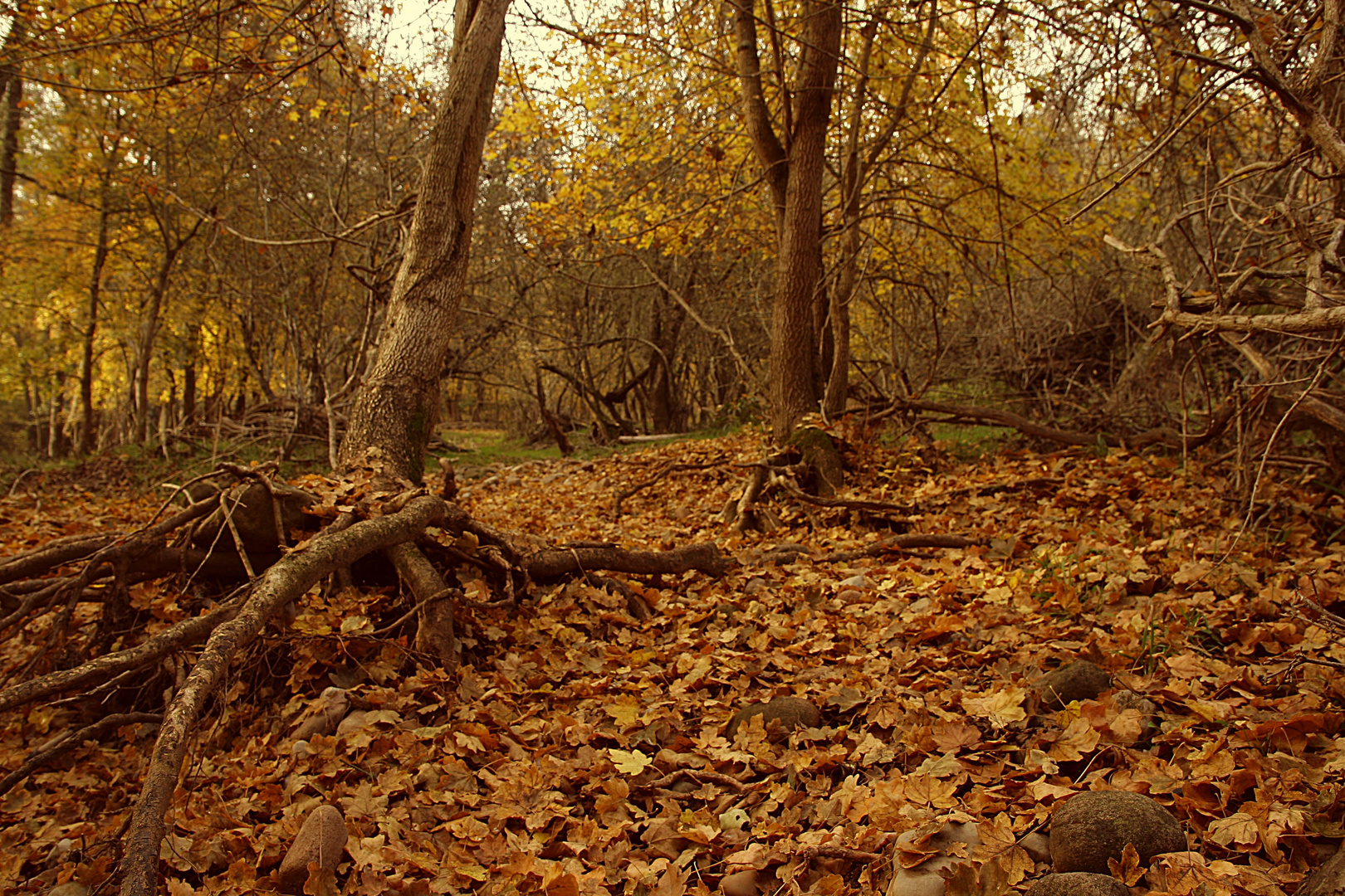 Otoño