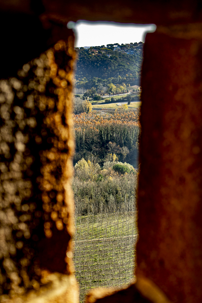 Otoño desde Castillo Hostalrich_3519