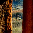 Otoño desde Castillo Hostalrich_3519