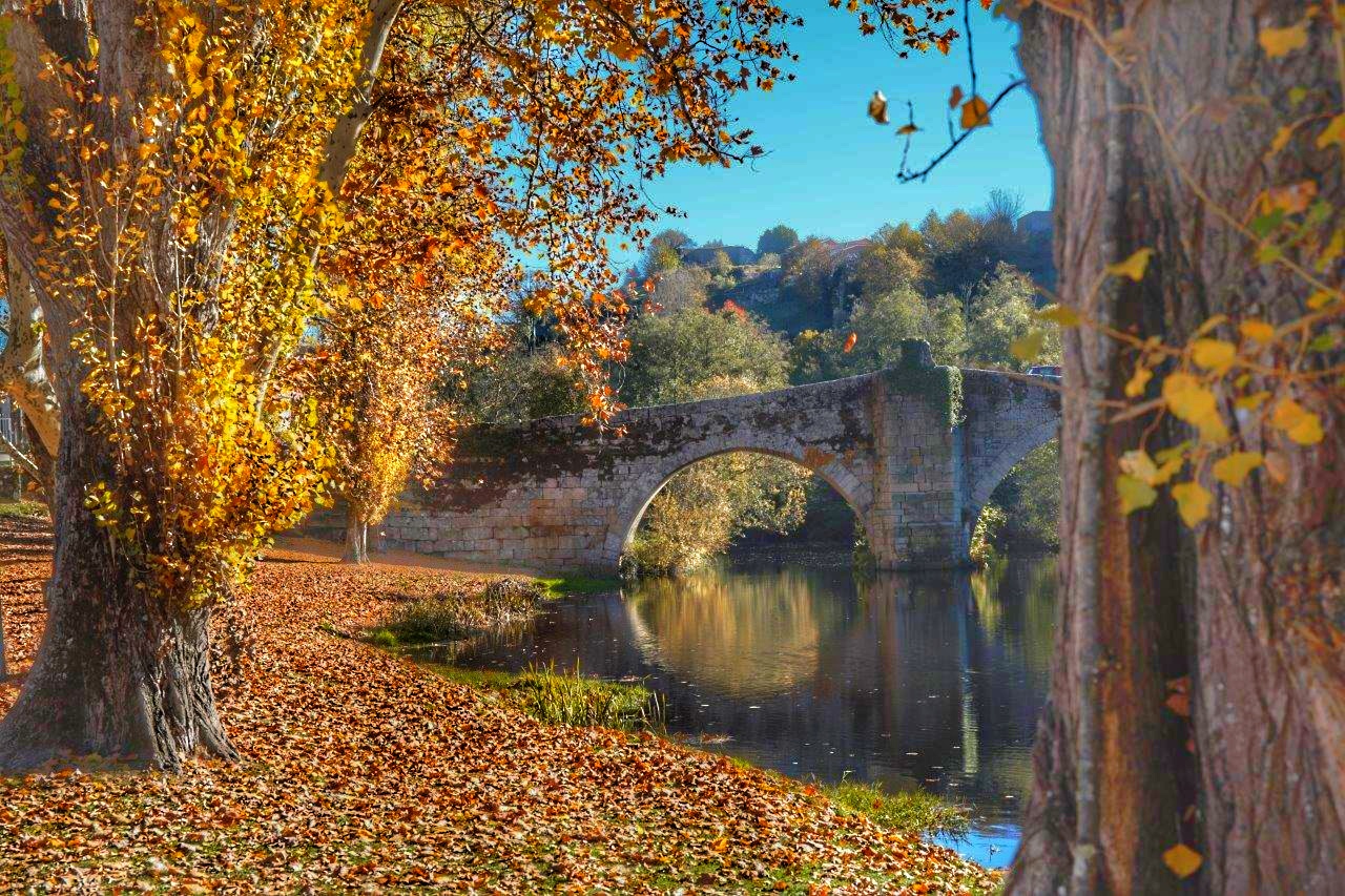 Otoño, dulce otoño