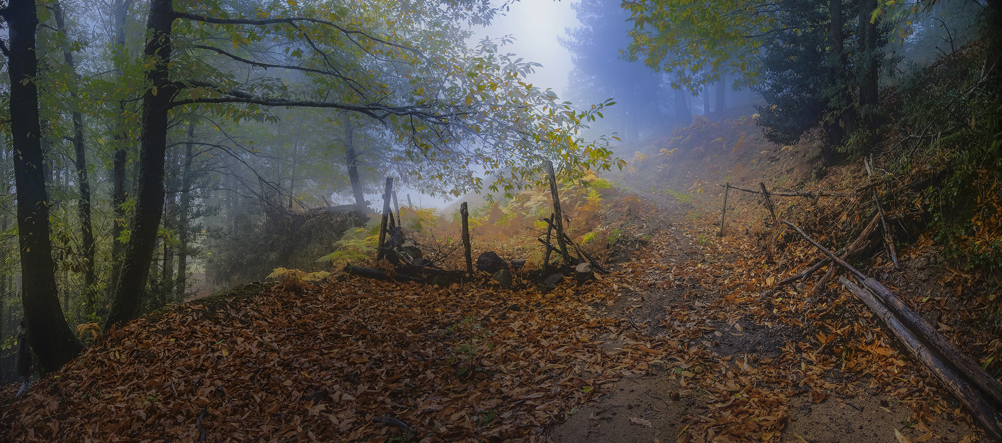  " OTOÑO "