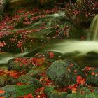 Otoño en Argovejo (Leon)