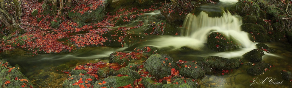 Otoño en Argovejo (Leon)