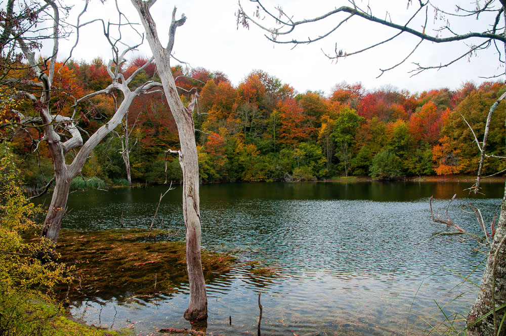 Otoño en Baias Ibaia