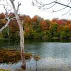 Otoño en Baias Ibaia