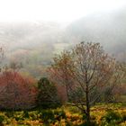 Otoño en Bonicaparra