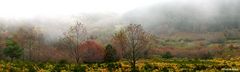 Otoño en Bonicaparra