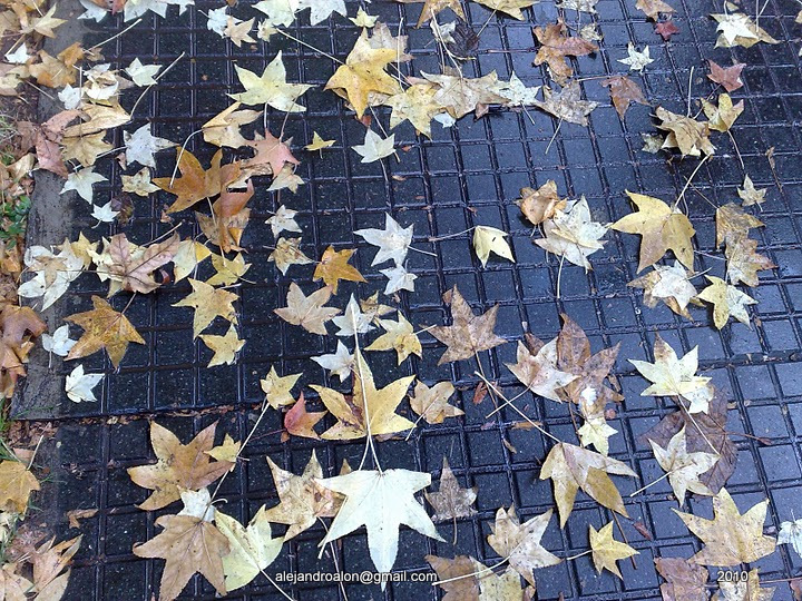 Otoño en Buenos Aires...