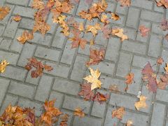 Otoño en Buenos Aires