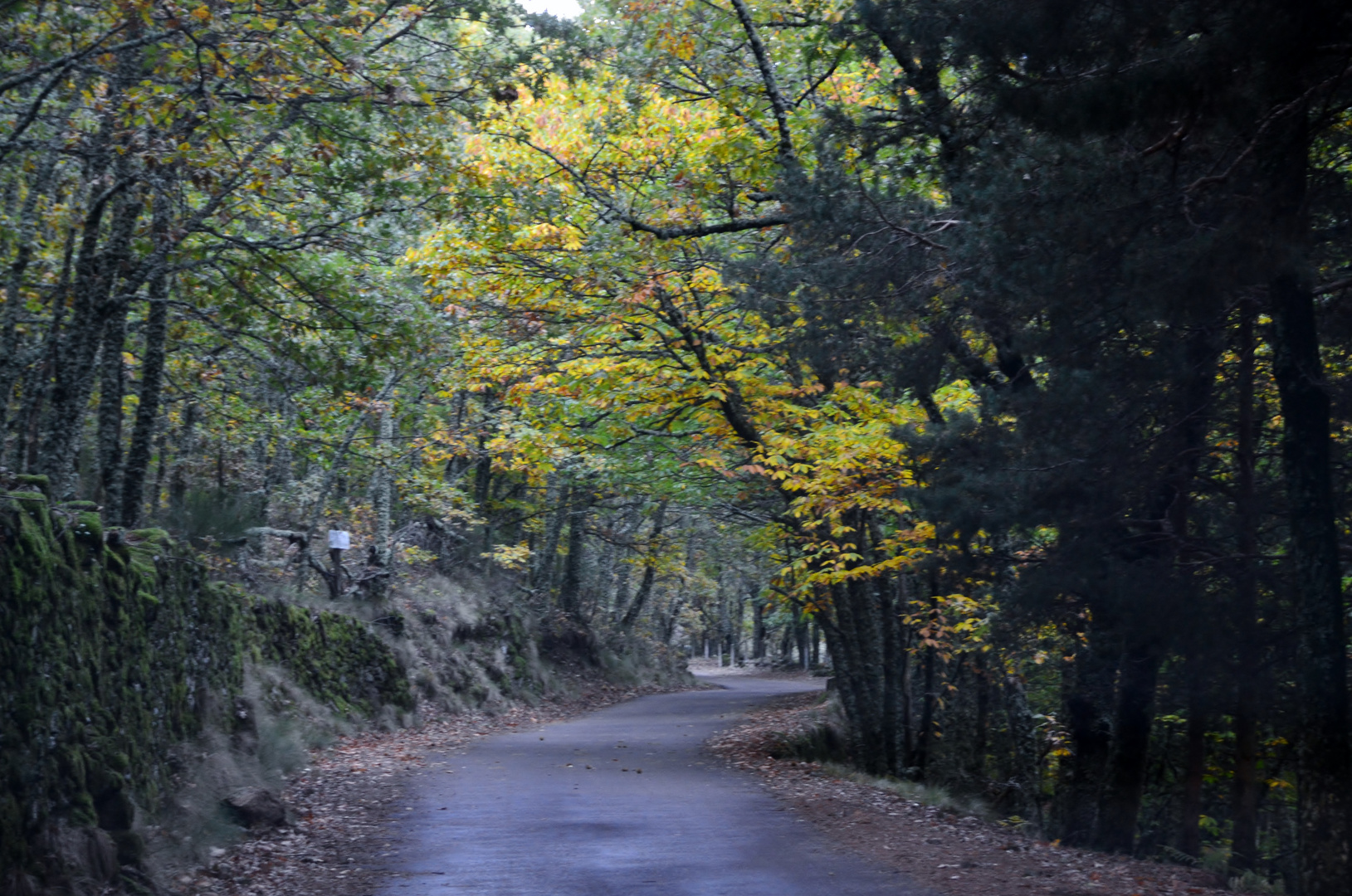 Otoño en Calenda