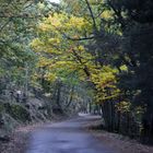 Otoño en Calenda