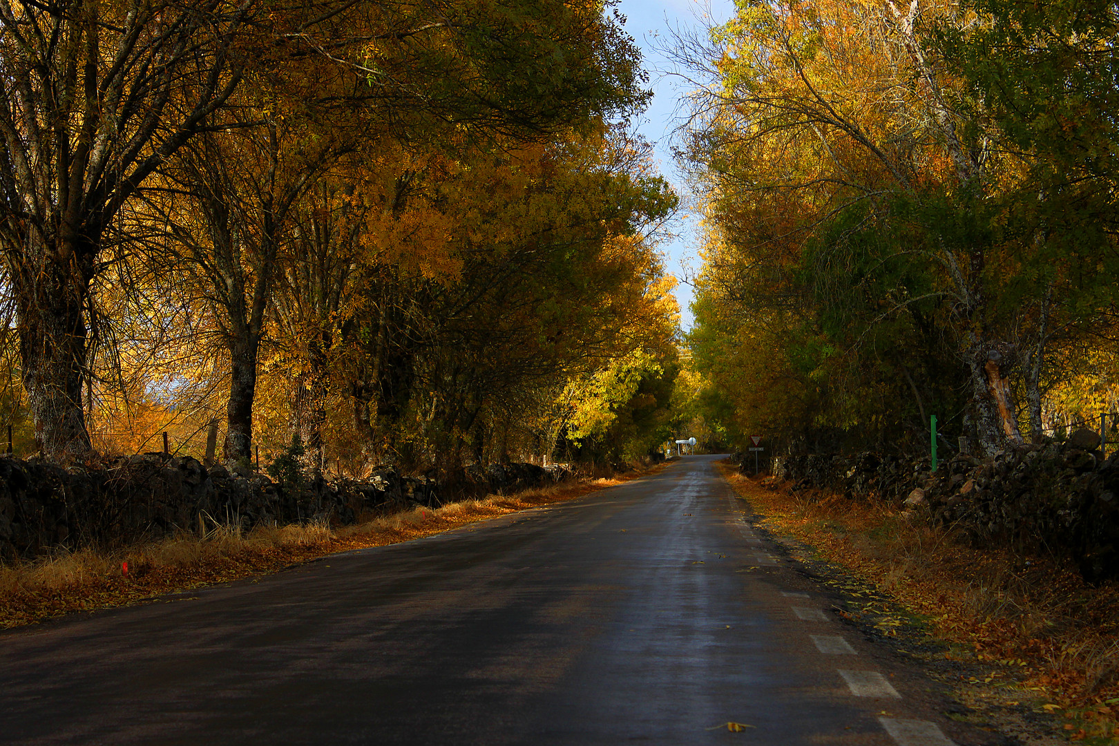 Otoño en Calzada de Béjar