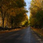 Otoño en Calzada de Béjar