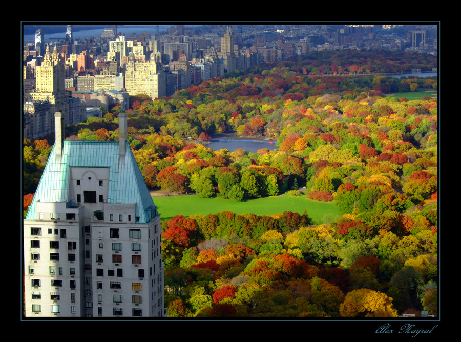 Otoño en Central Park