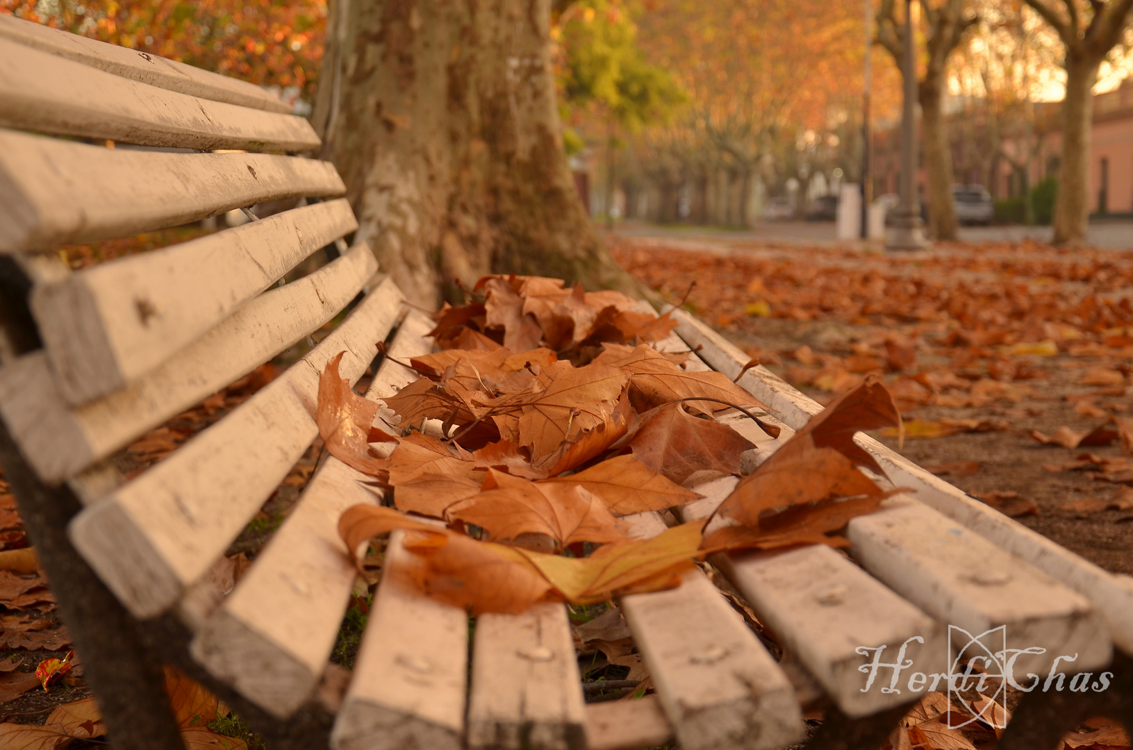 Otoño en Chascomús