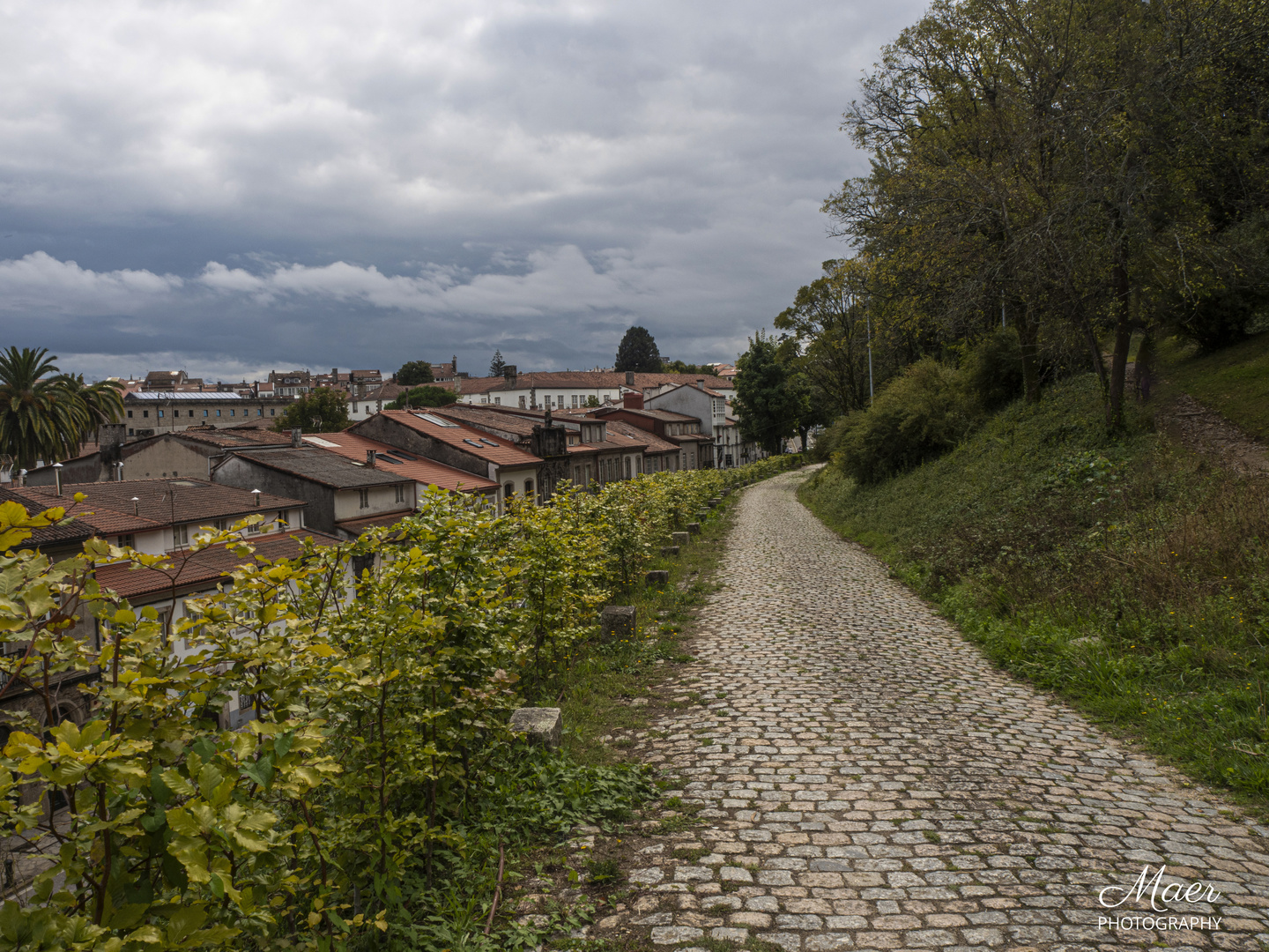 Otoño en Compostela.