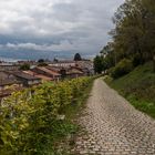 Otoño en Compostela.