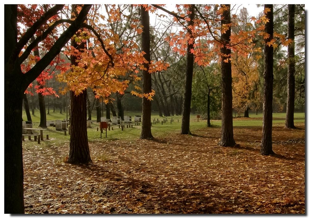 Otoño en Concordia**