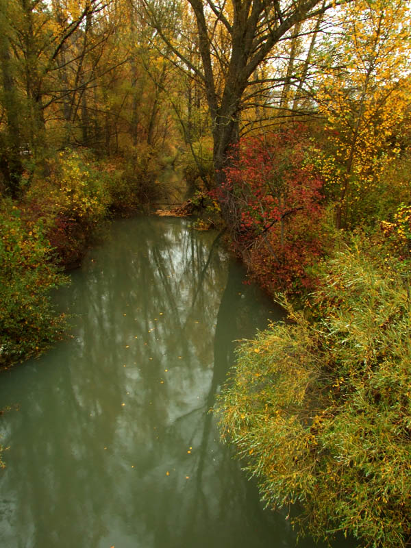 Otoño en Cuenca