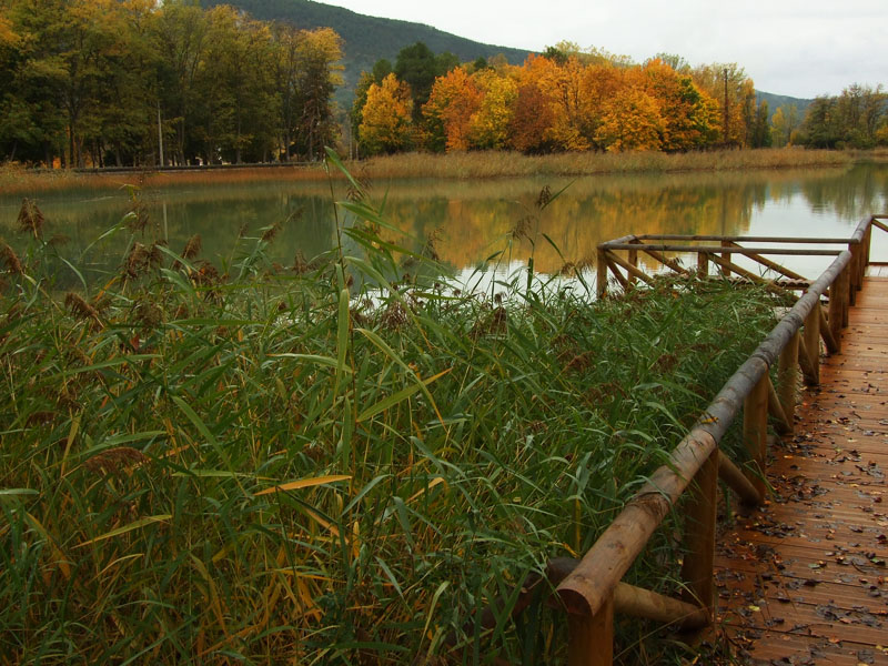 Otoño en Cuenca II