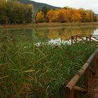 Otoño en Cuenca II