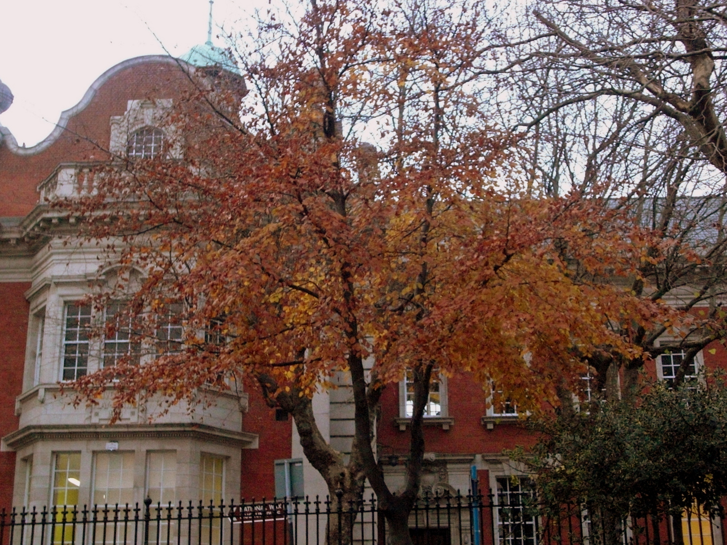 OTOÑO EN DUBLIN-2