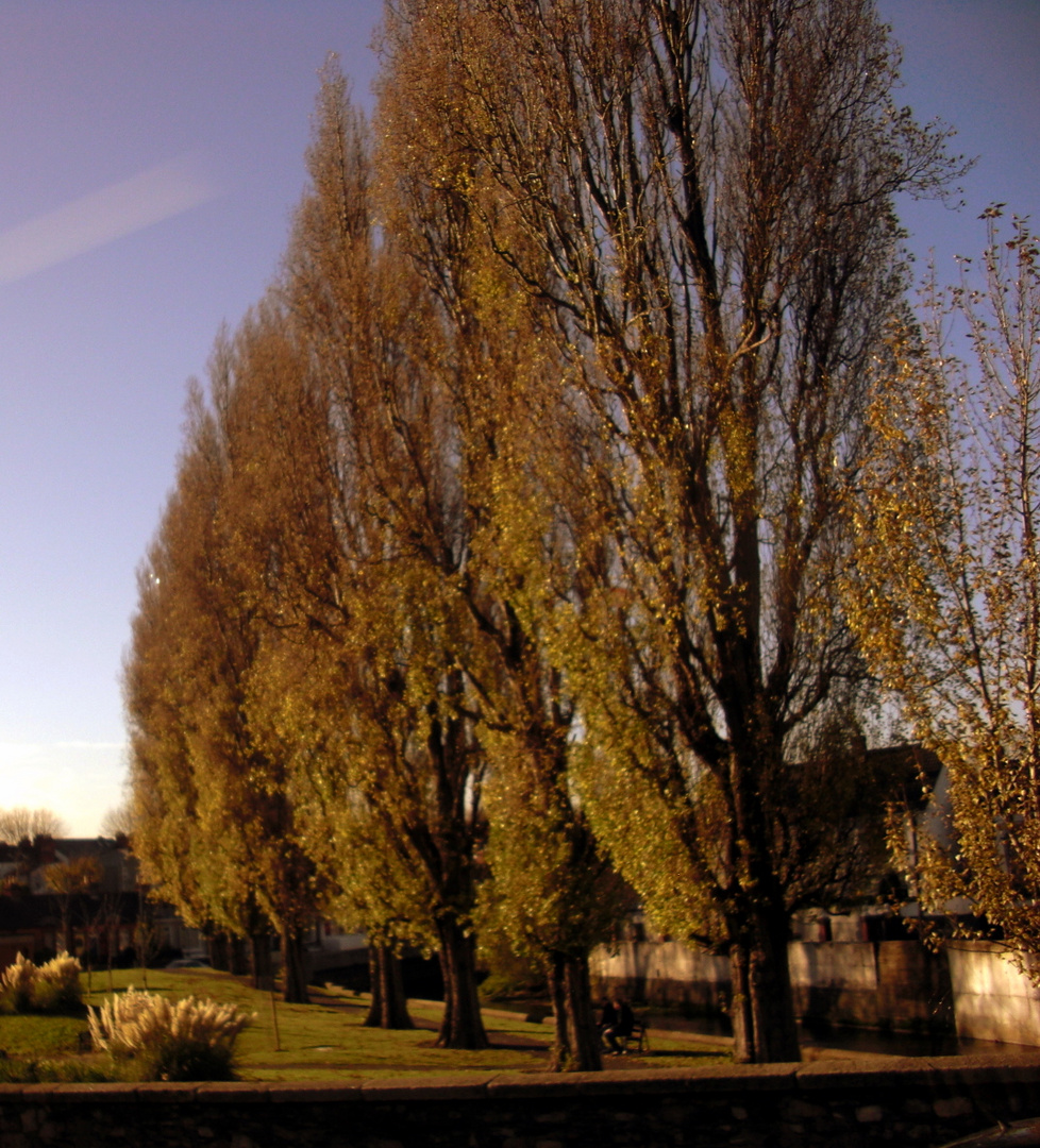 OTOÑO EN DUBLIN