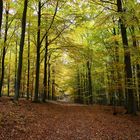 Otoño en Eifel