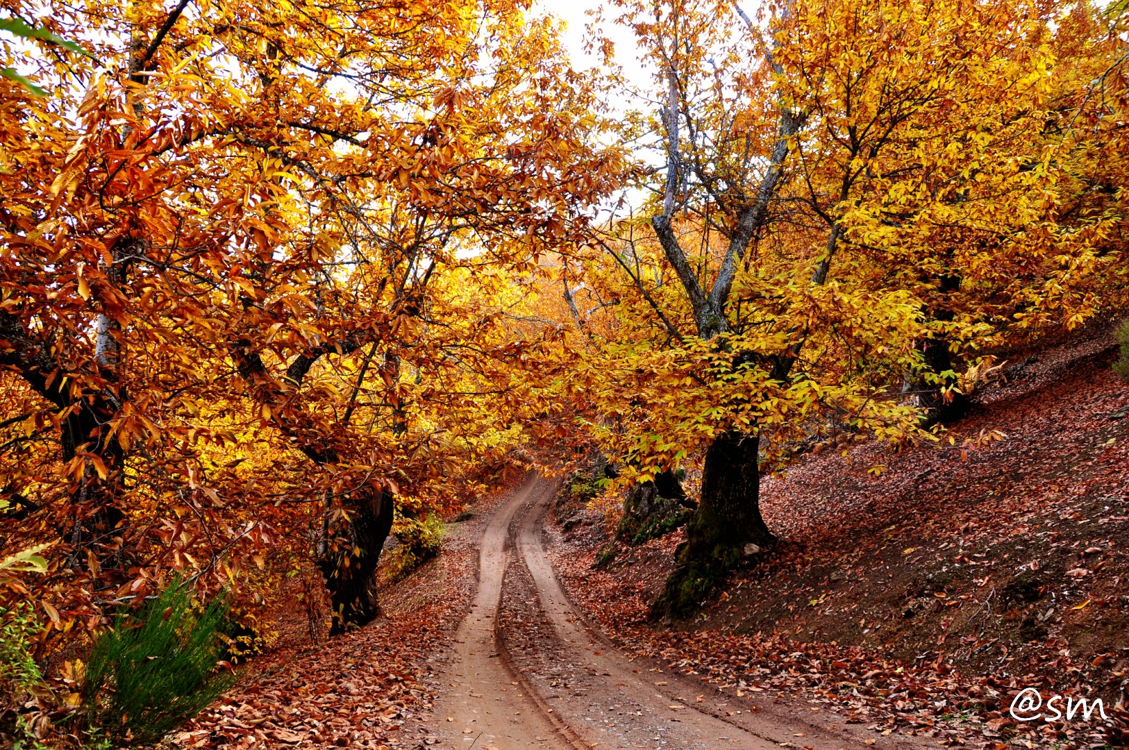 Otoño en El Bierzo