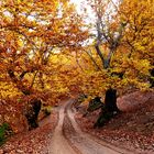 Otoño en El Bierzo