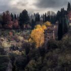 Otoño en el bosque de la Alhambra