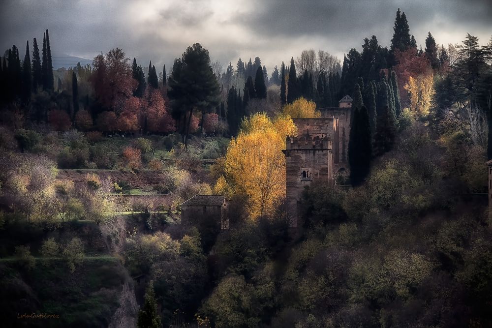 Otoño en el bosque de la Alhambra