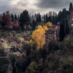 Otoño en el bosque de la Alhambra