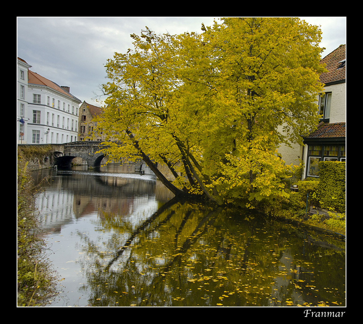 Otoño en el canal