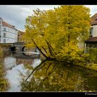 Otoño en el canal