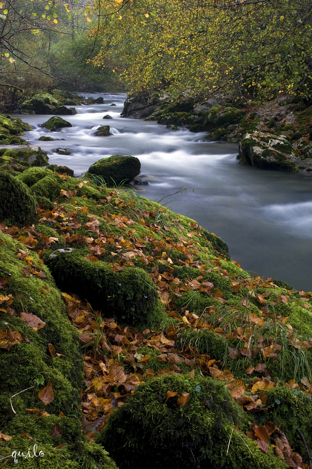 OTOÑO EN EL CASAÑO