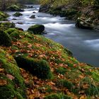 OTOÑO EN EL CASAÑO