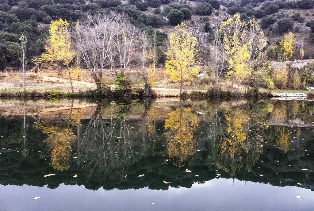 Otoño en el Duero