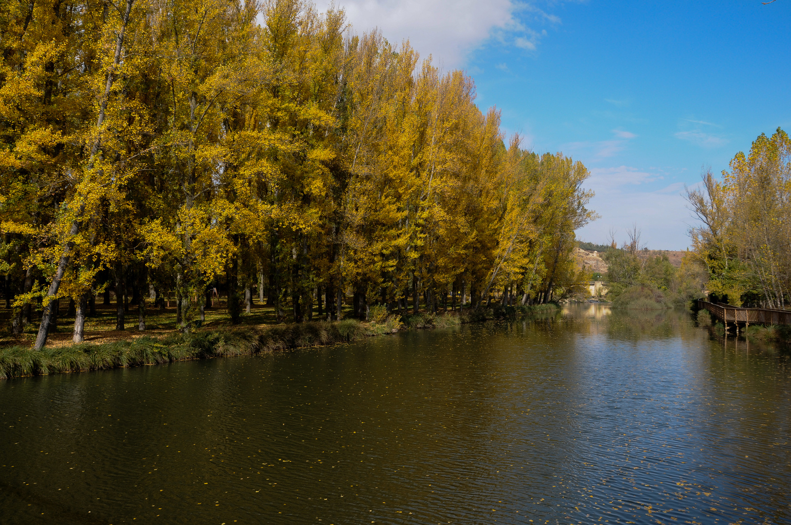 Otoño en el Duero