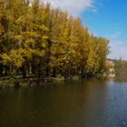 Otoño en el Duero