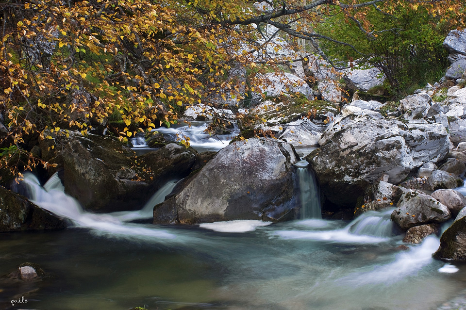 OTOÑO EN EL DUJE